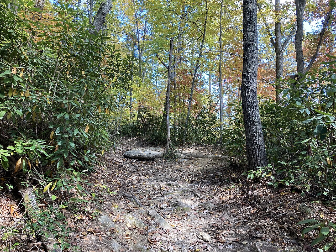 Mountaineer Campsites