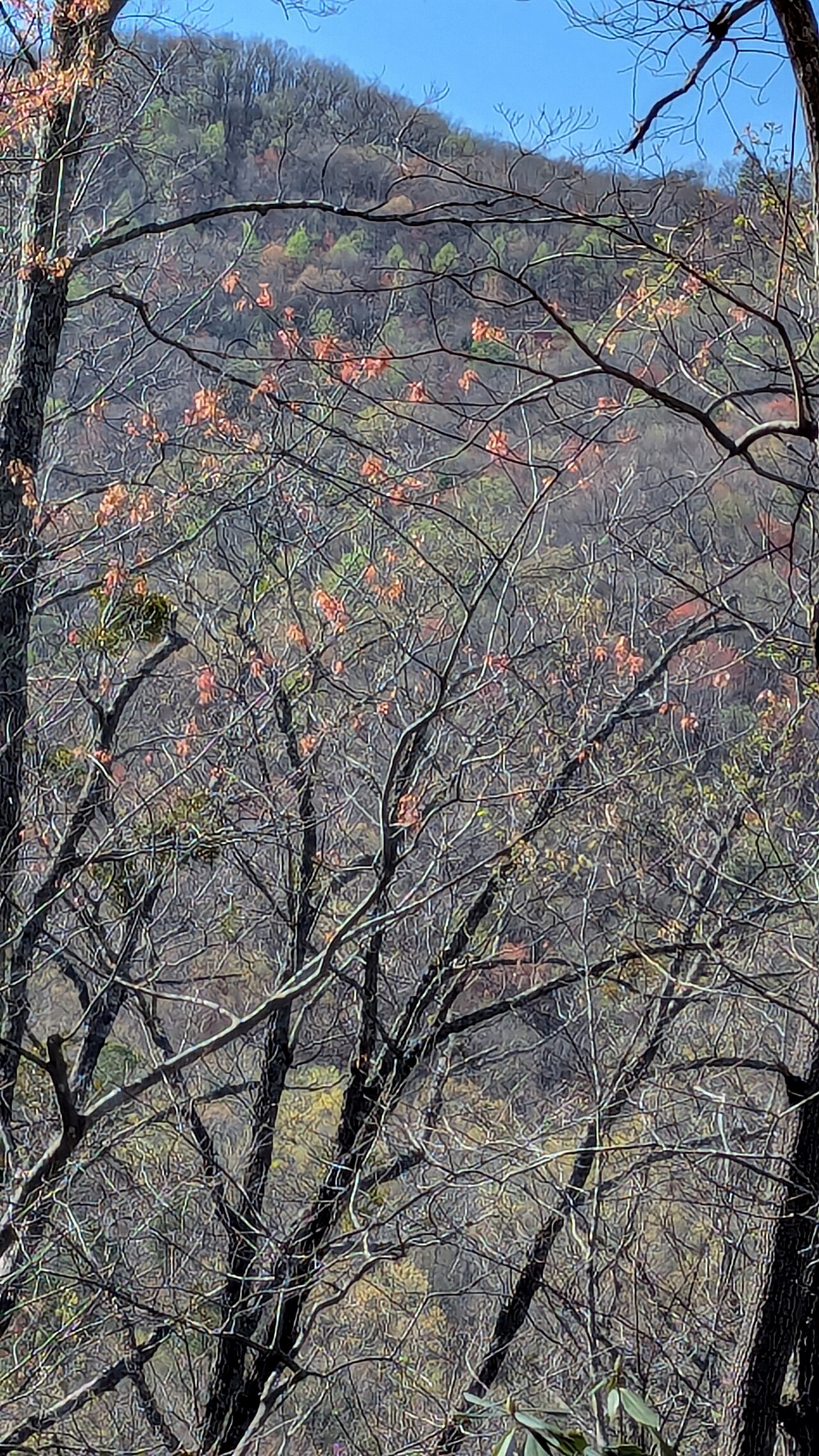 Catawba Falls Campground, LLC