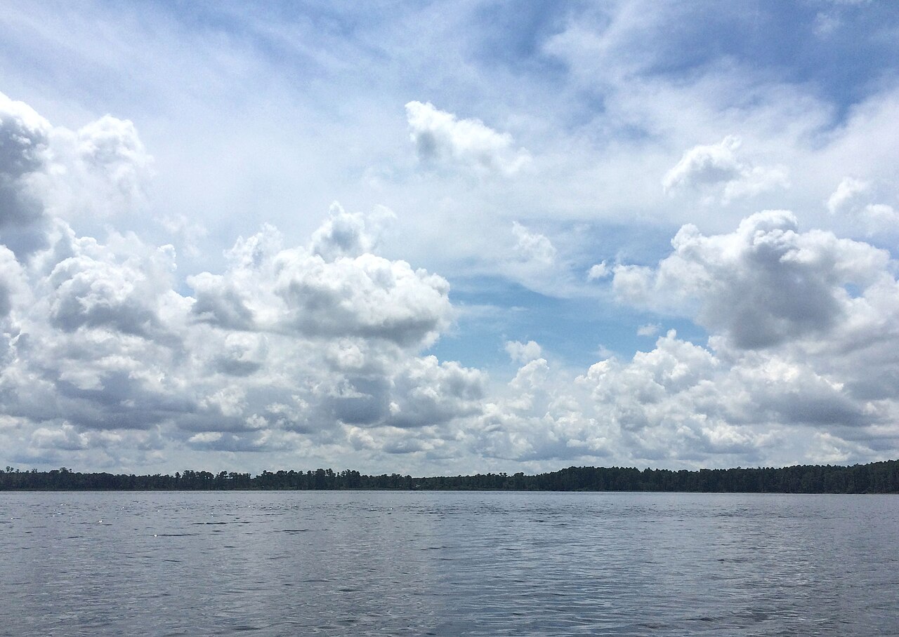 Pine Point Primative Campsite