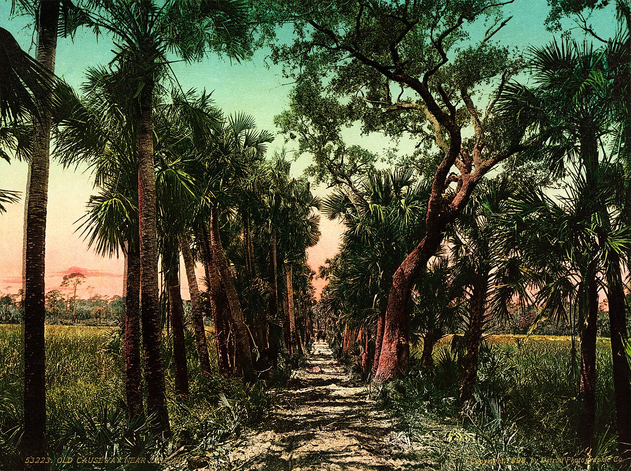 Tomoka State Park Campground
