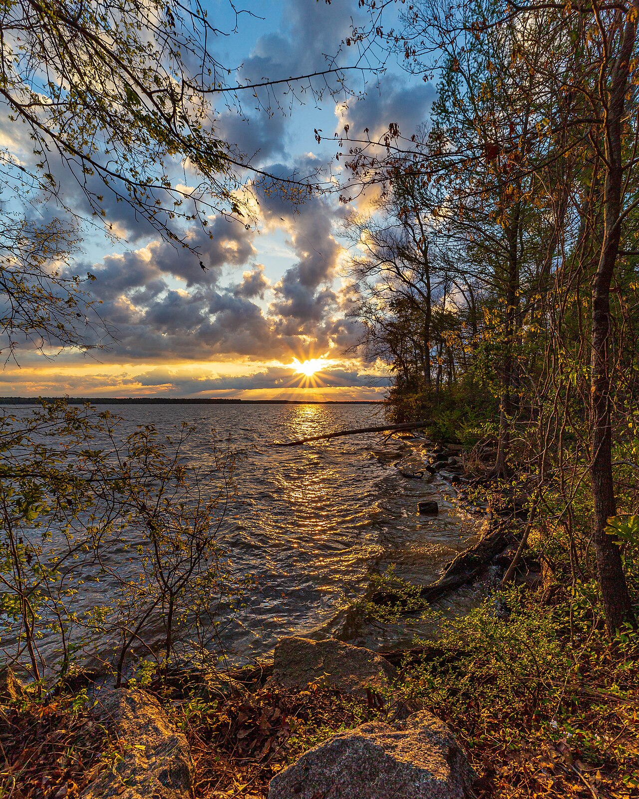 Cypress View Campground