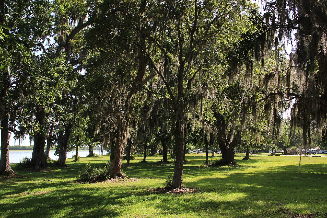 Buckhall Campground