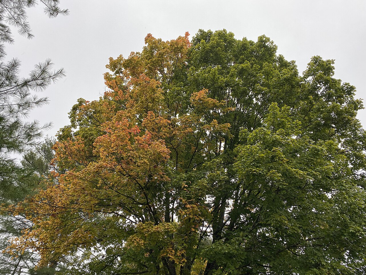 Cove View Campground