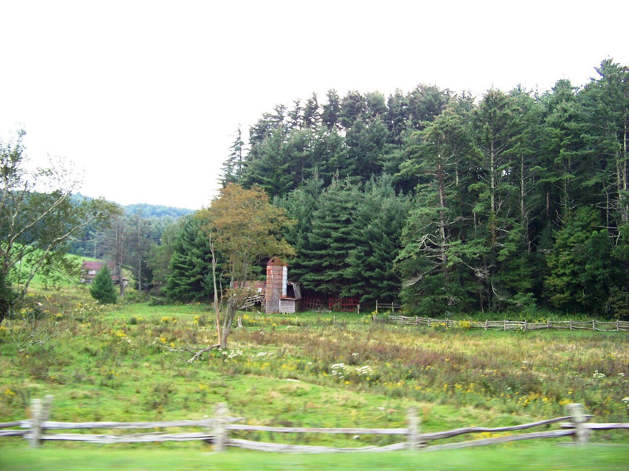Miller's Campground