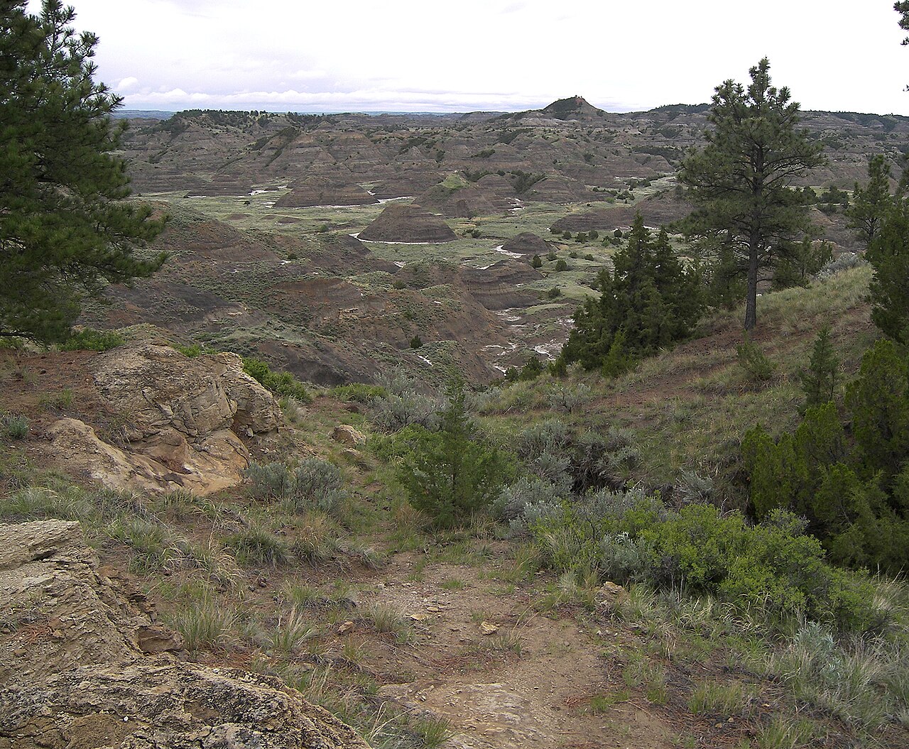 Pine-on-the-Rock Campground