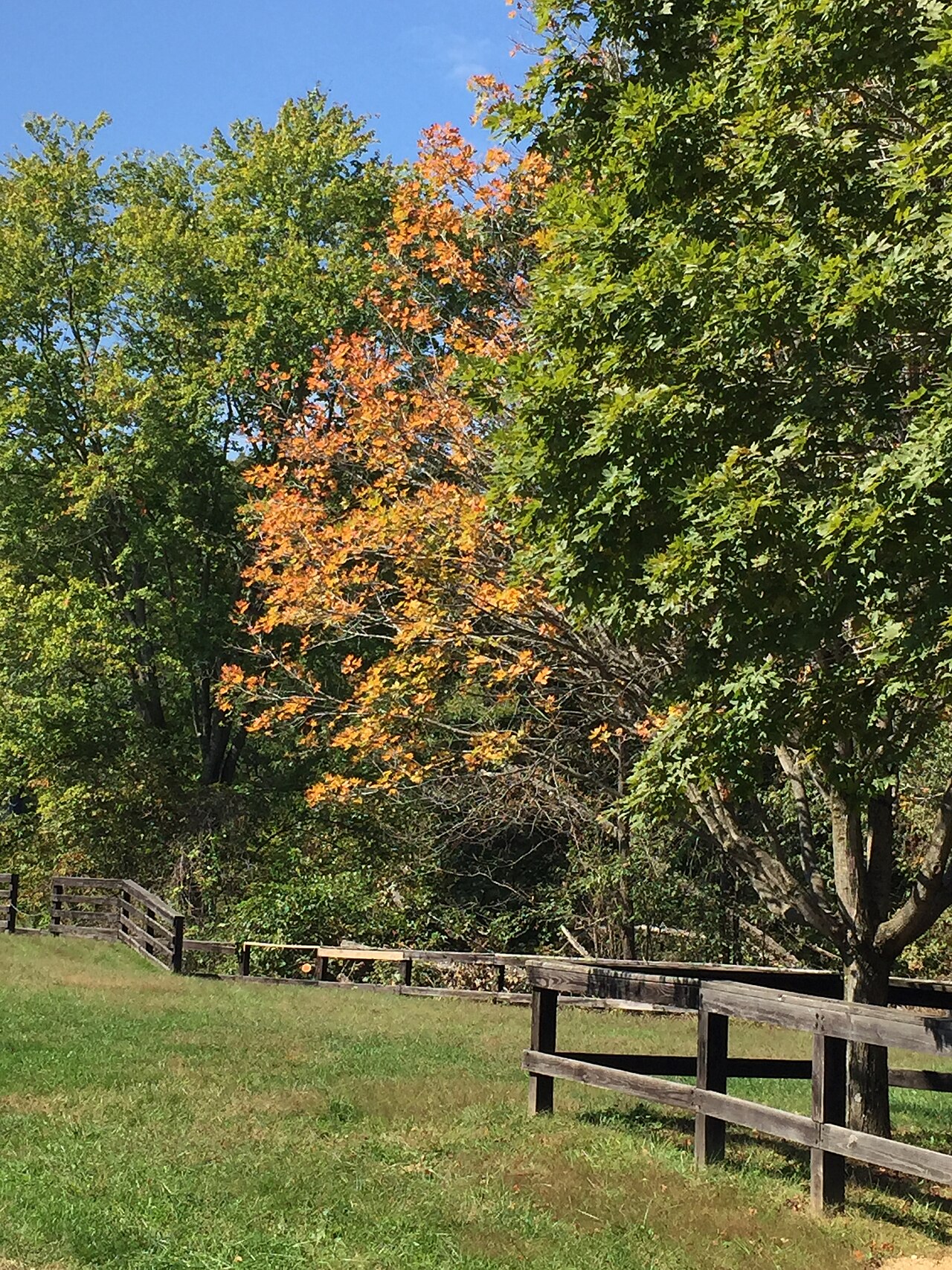 Blackwell Horse Camp