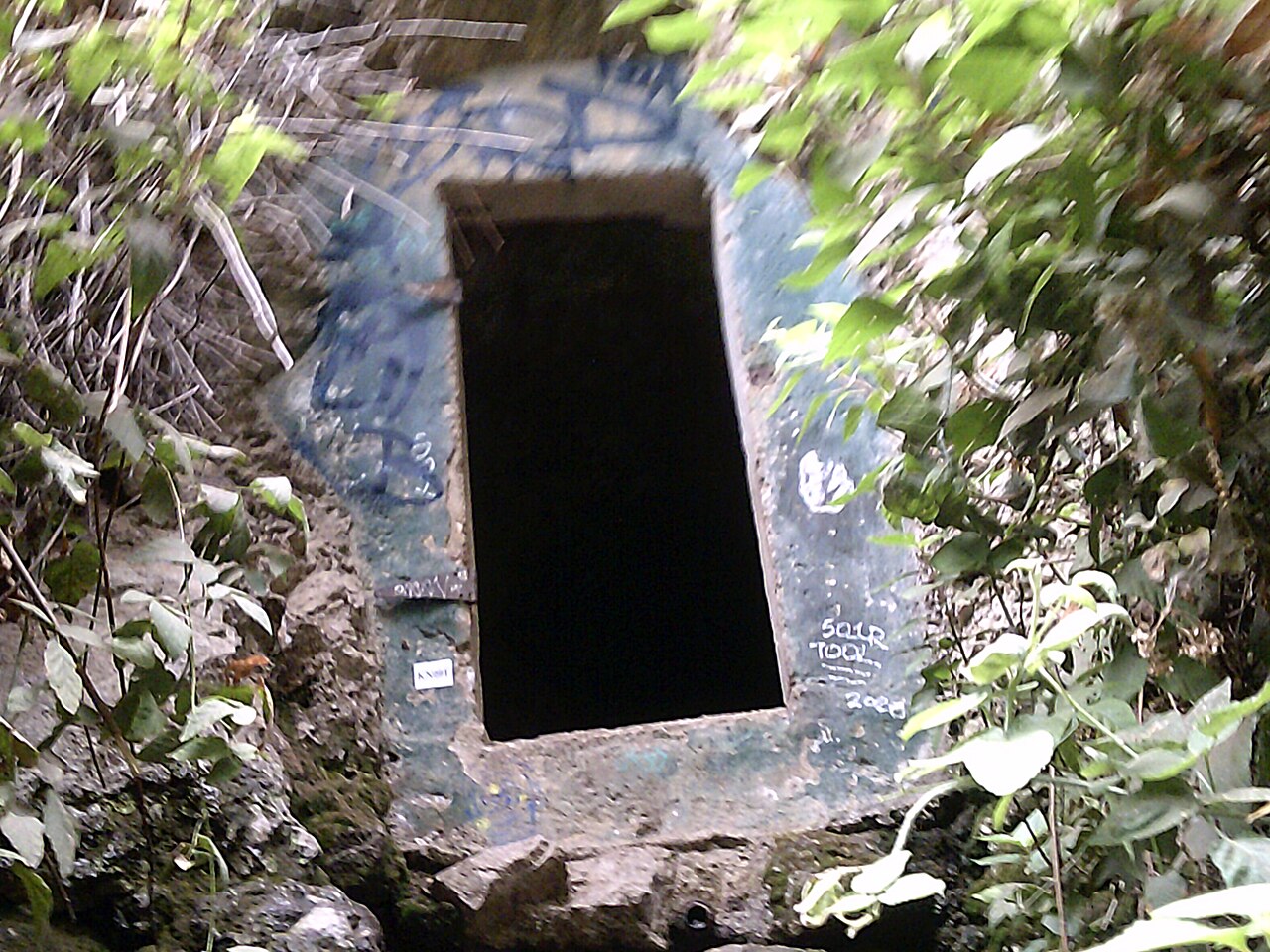 Millard Trail Camp