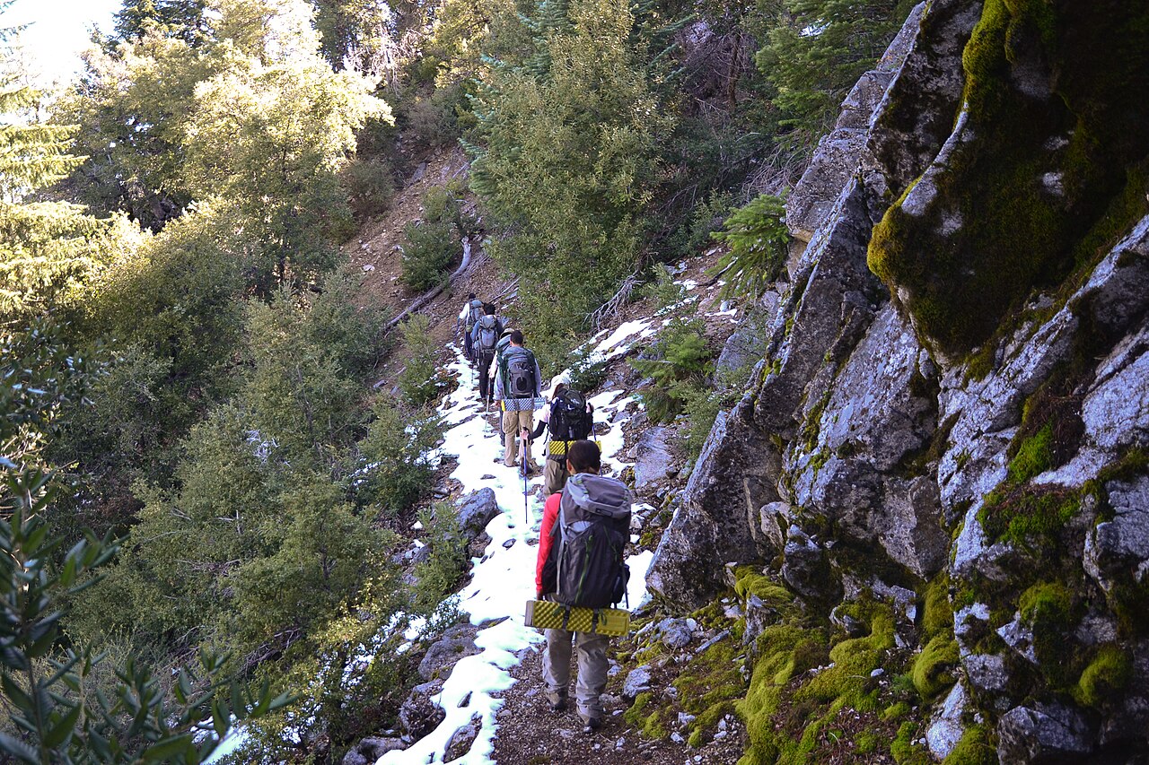 Historic Bear Basin Camp