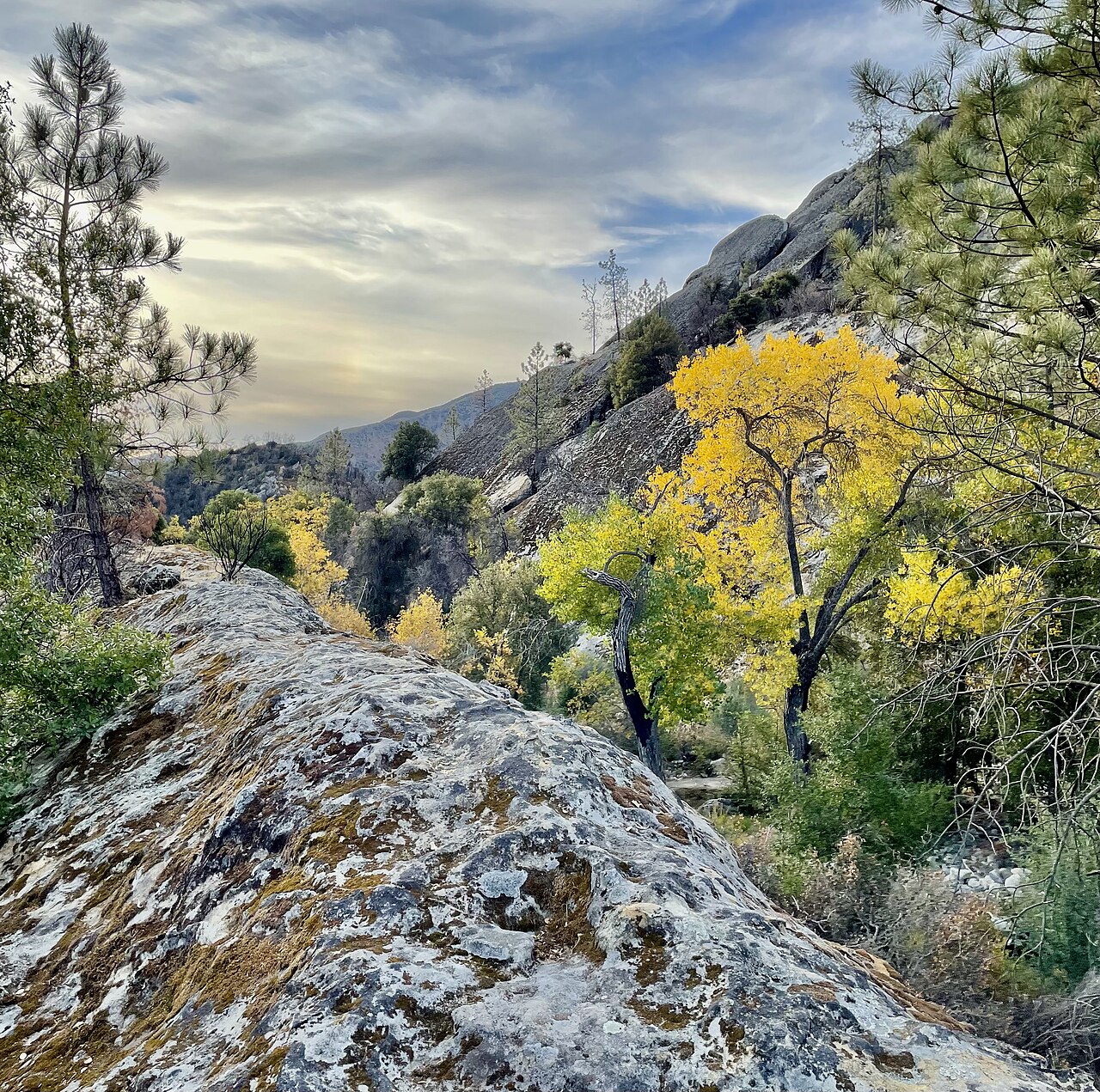 Carrizo Springs Rustic Campsite