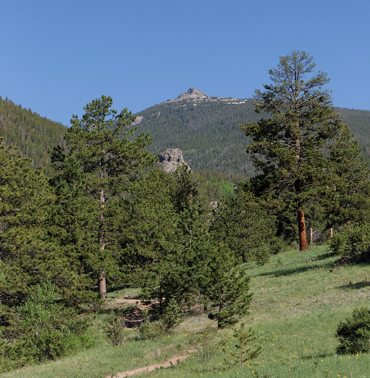 Peregrine Campsite