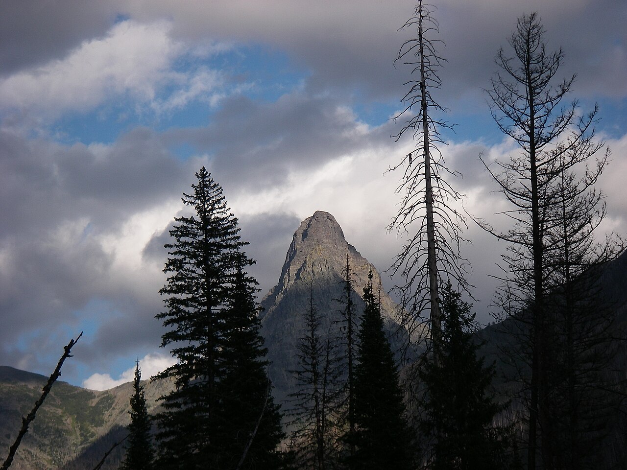 Coal Creek