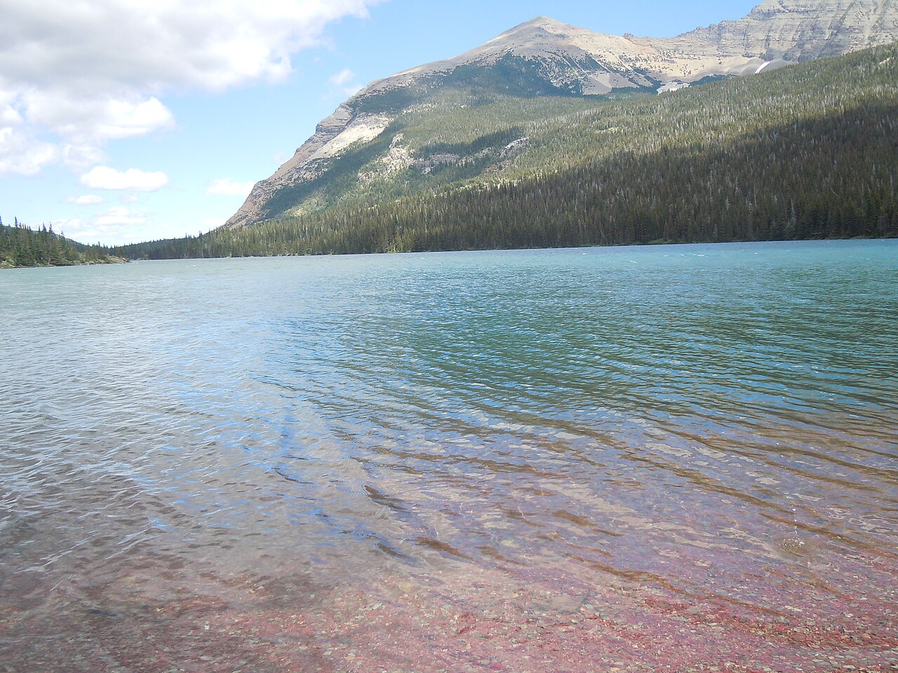 Head Elizabeth Lake Camp