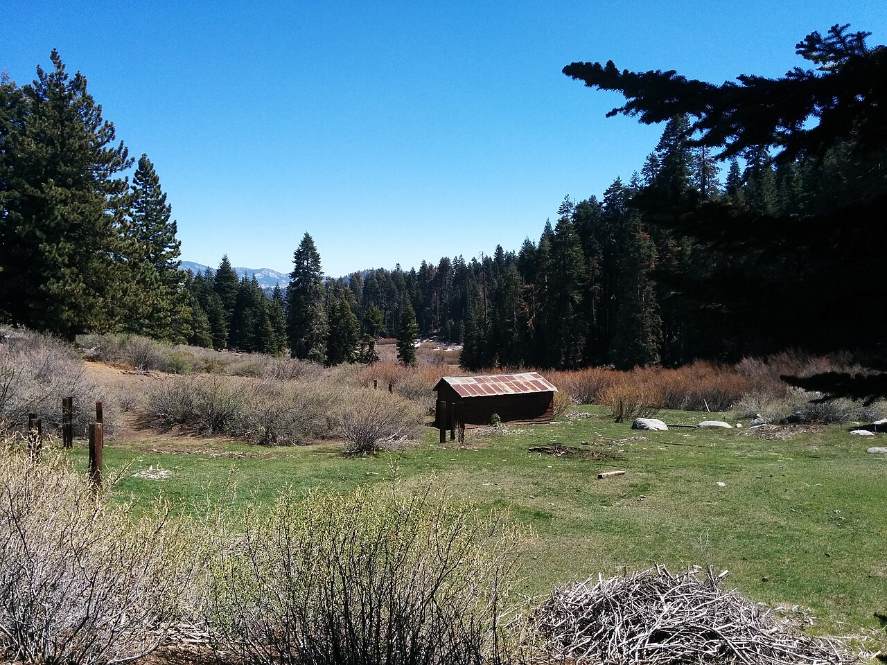 Frog Meadow Campground