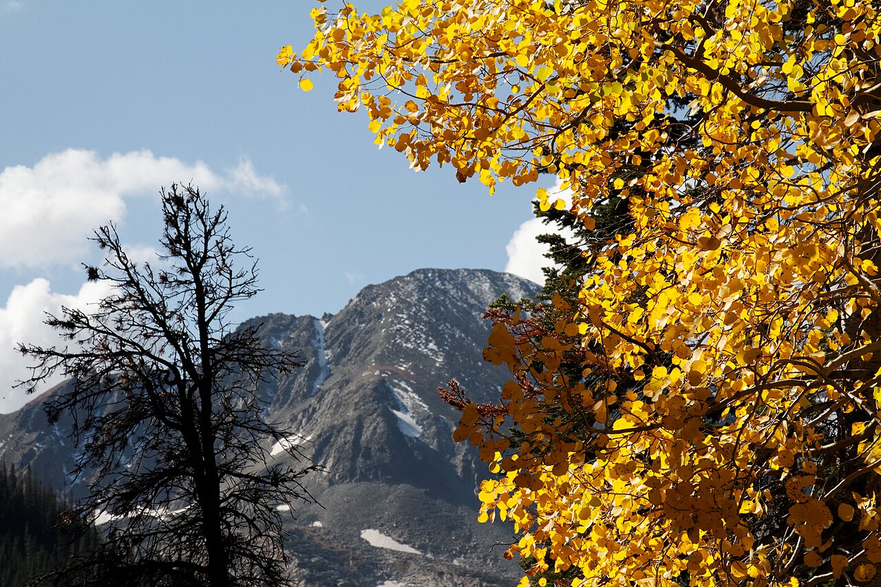 Crags Campground