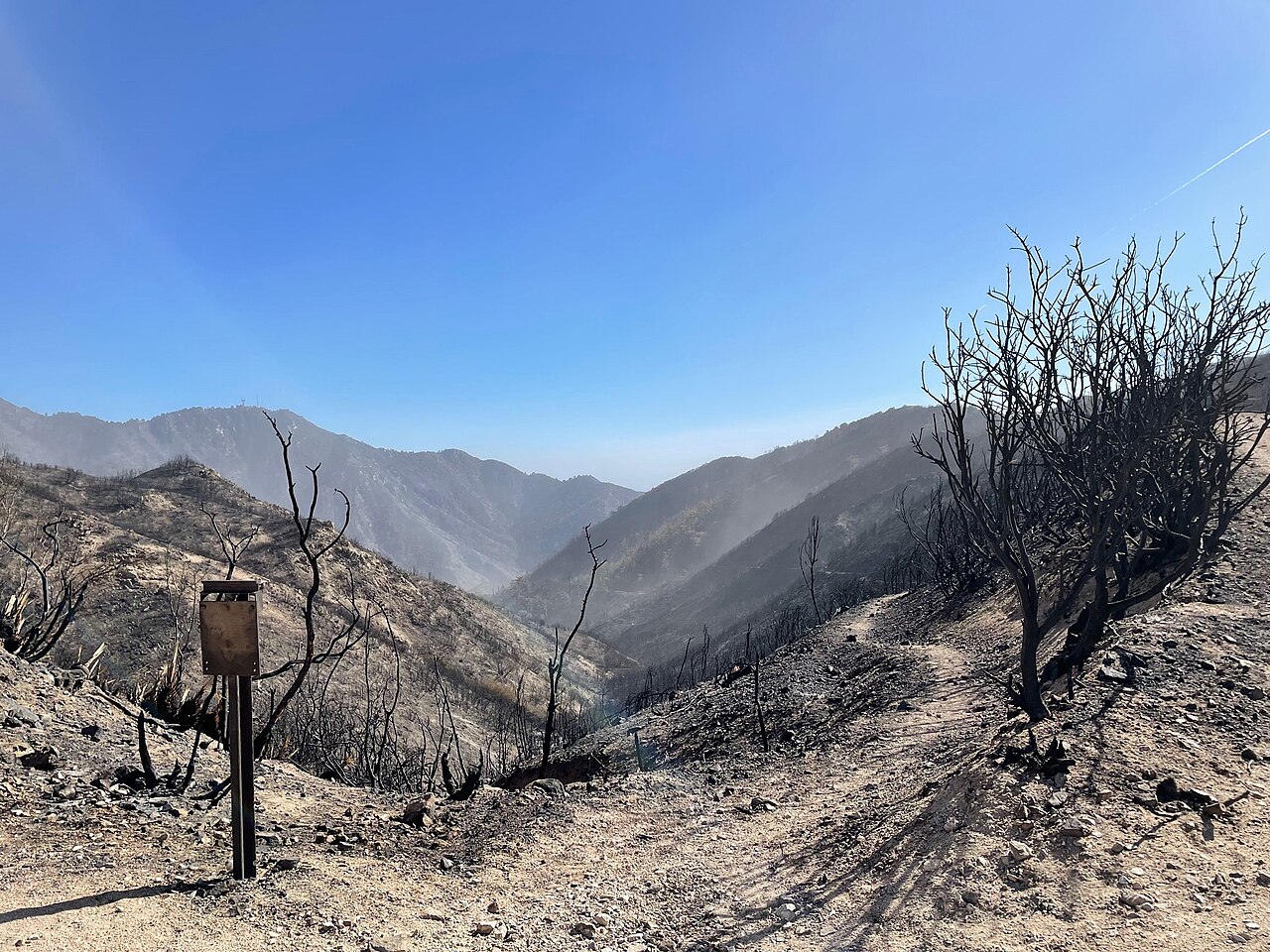 Mt. Lowe Trail Camp
