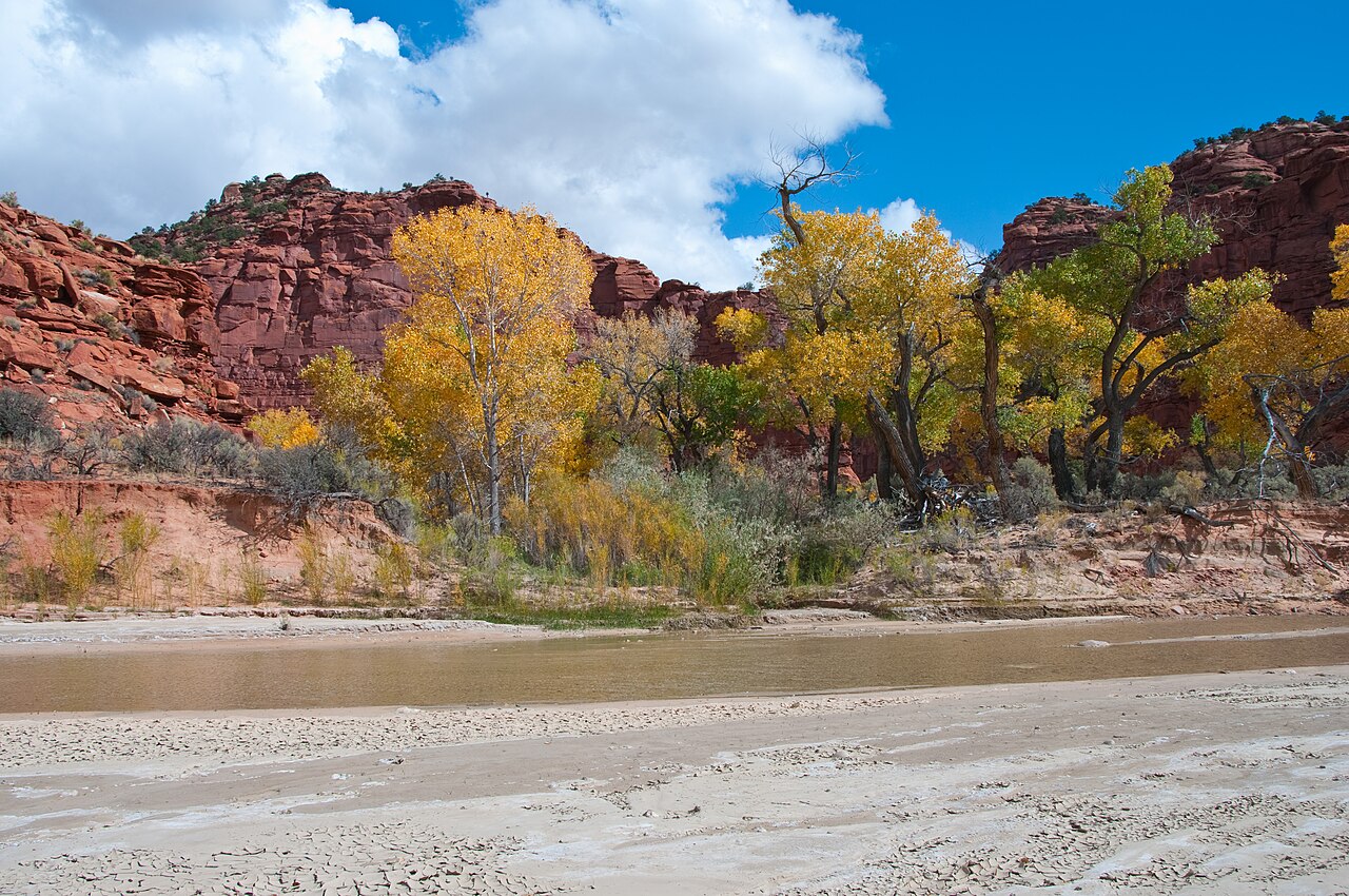 Campiing Hogeye Creek