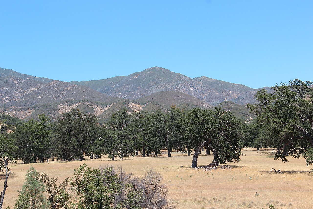 Old Wagon Cave Campground