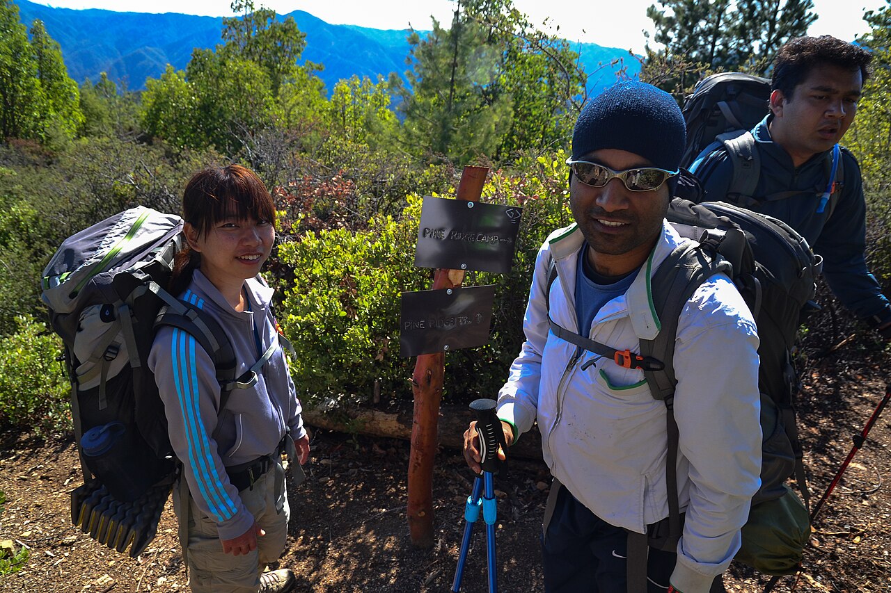 Ringtail Camp