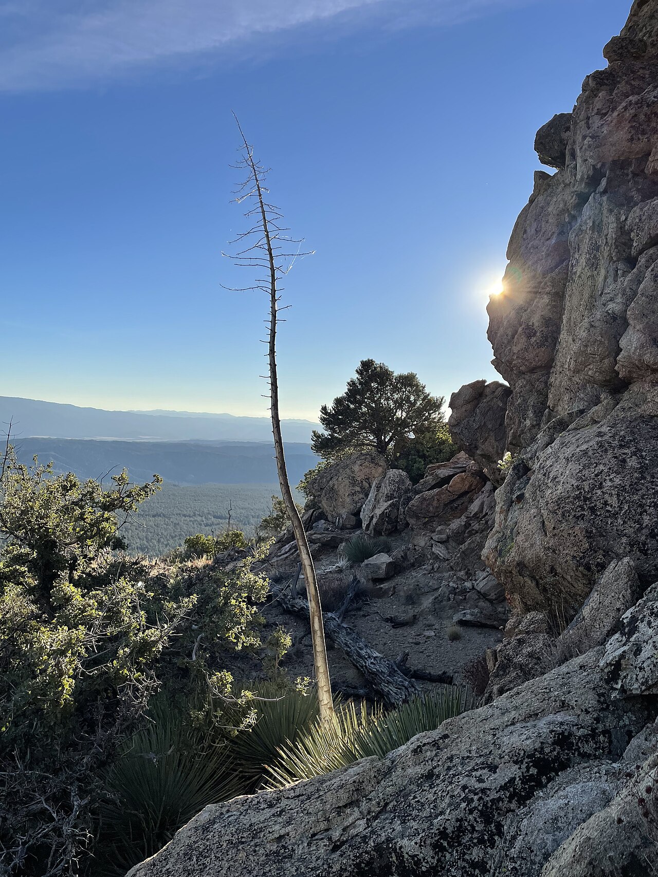 Mesa Spring Camp