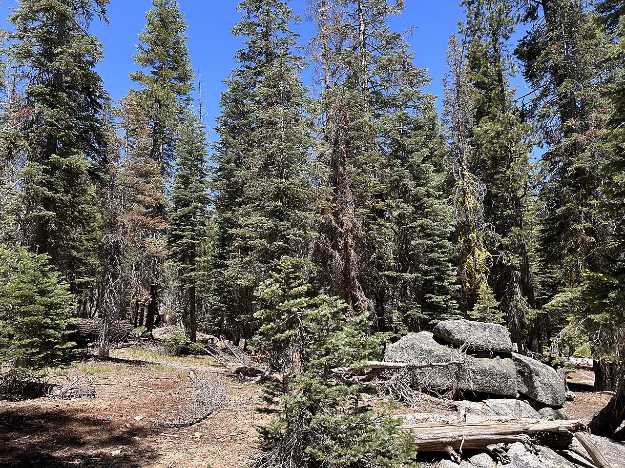 Upper Chiquito Campground