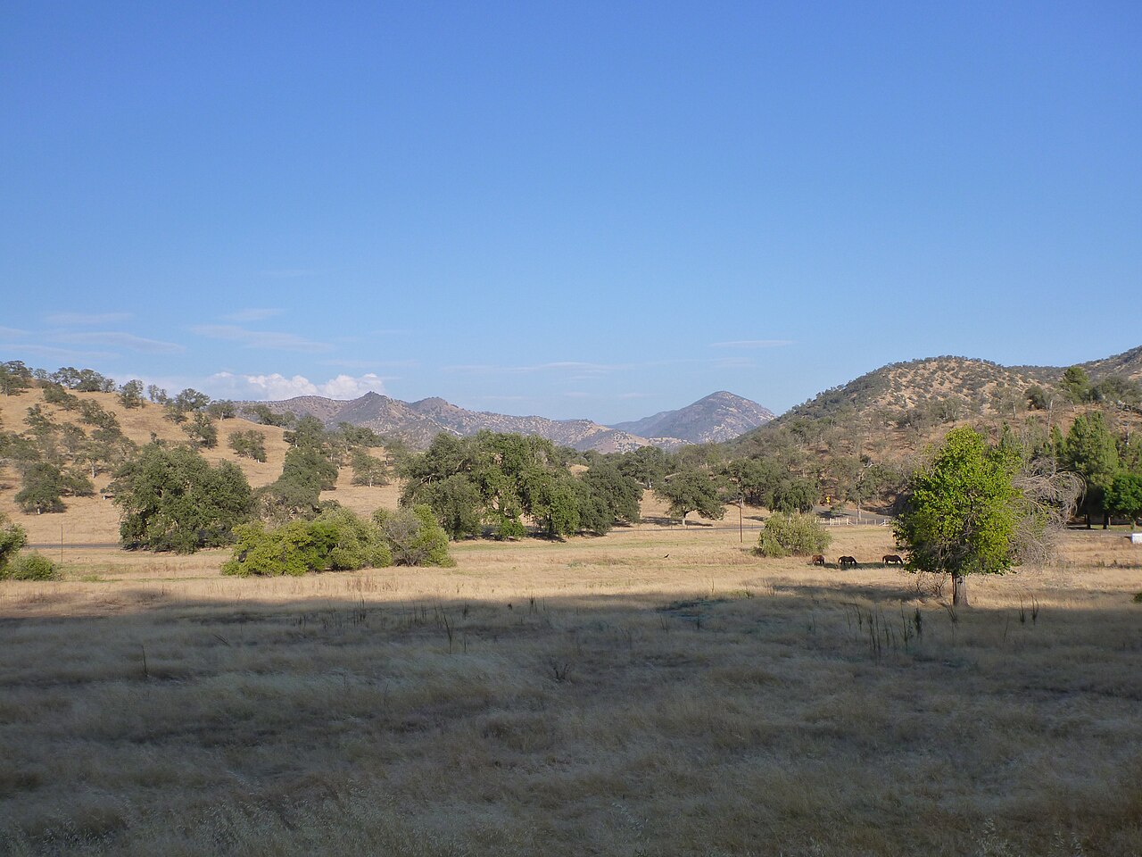 Choinumni Park (county)