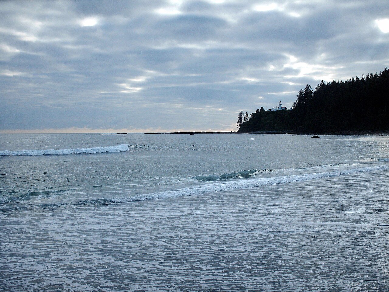 Carmanah Creek Camp