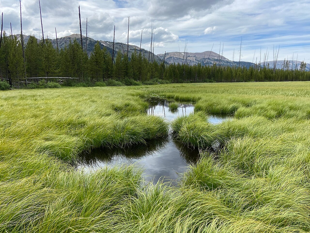 Winter Creek