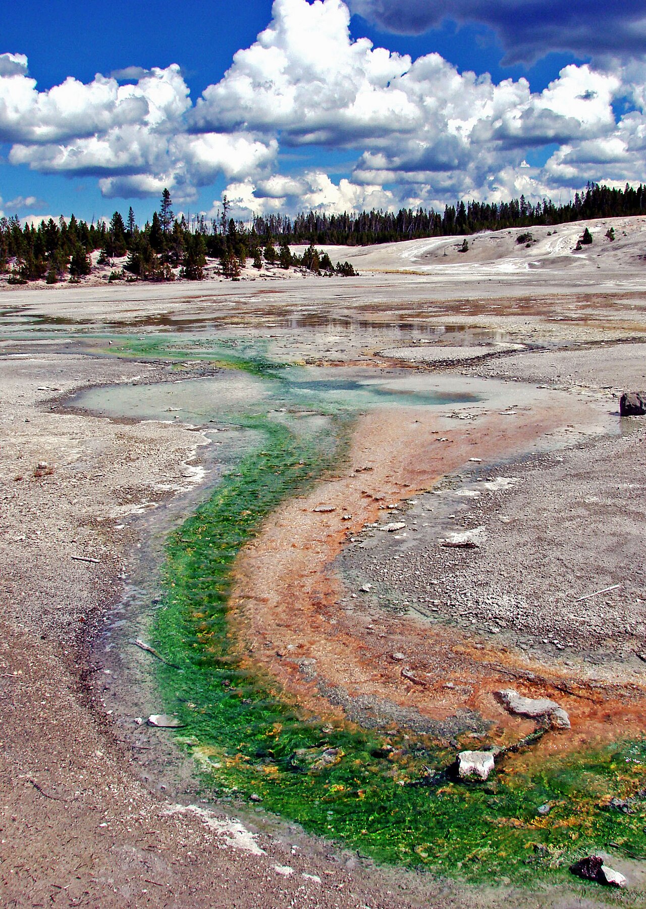 S Yell/Hell Confluence