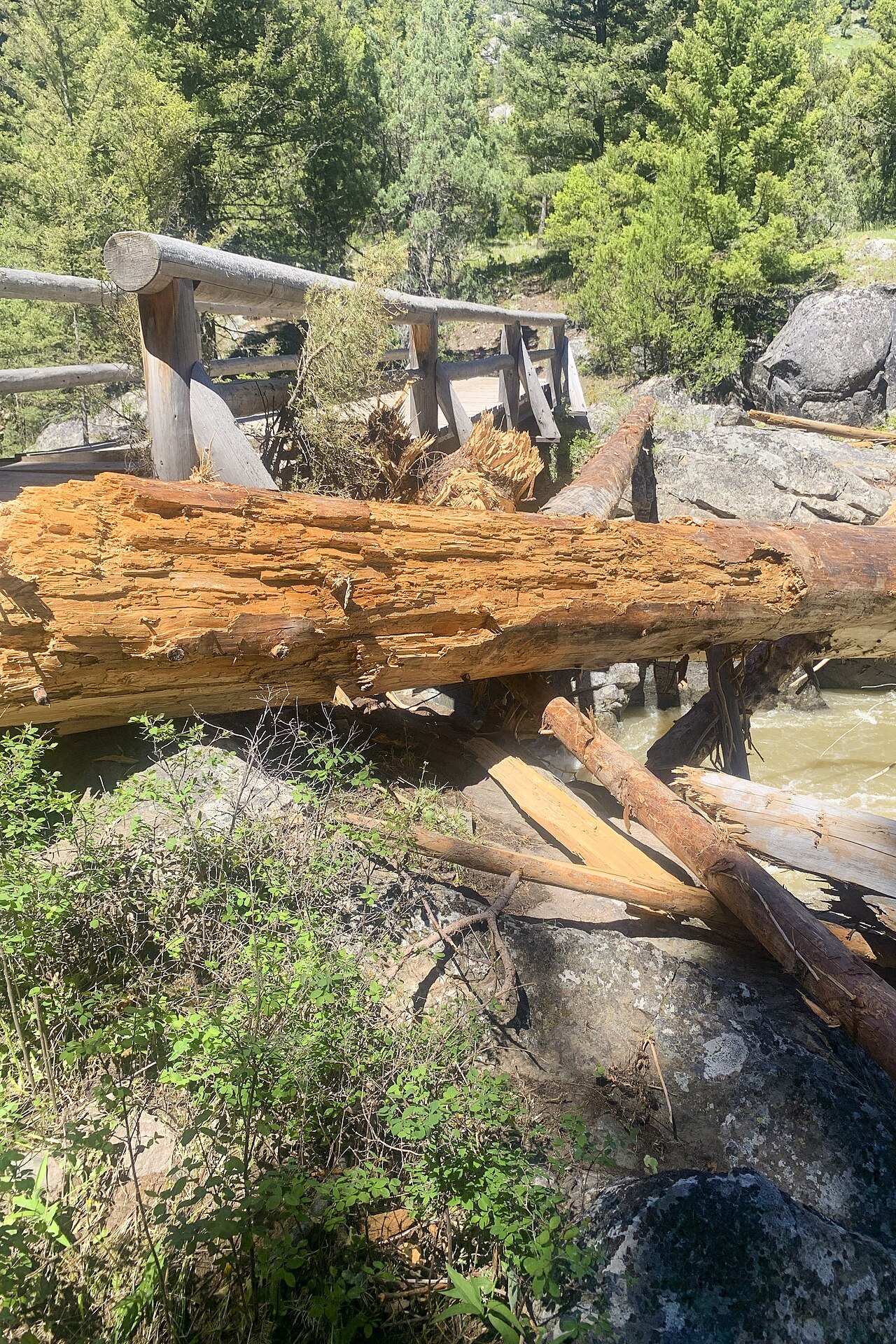Hellroaring Creek