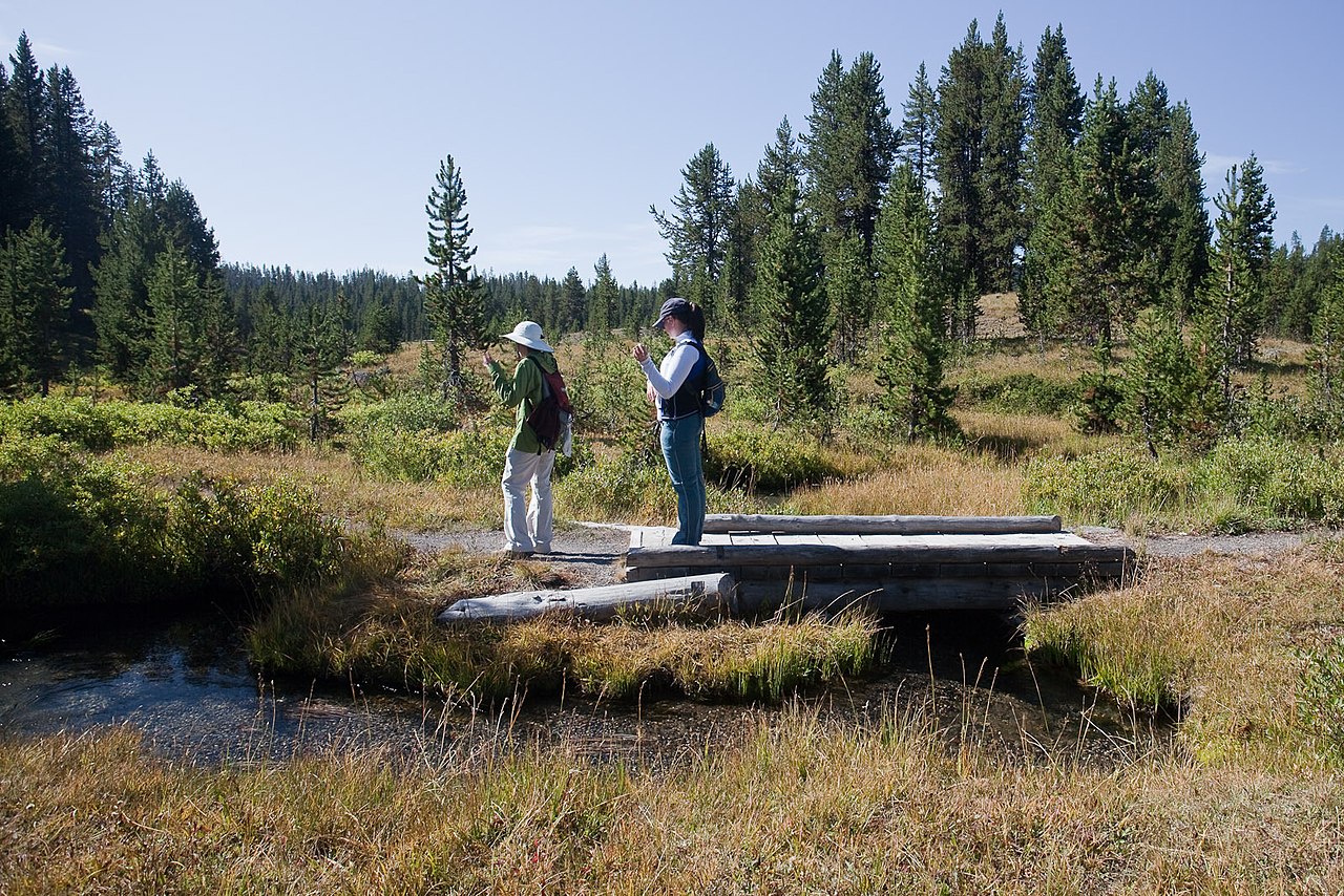 Shoshone Meadows (8G1)