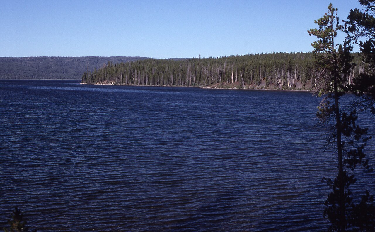 S Narrow Point