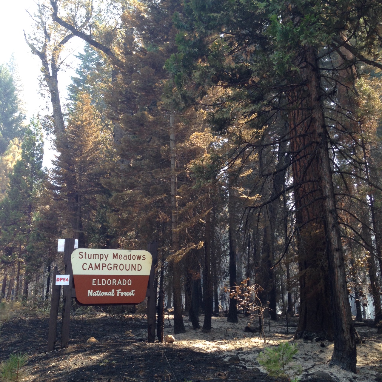 Stumpy Meadows Campground