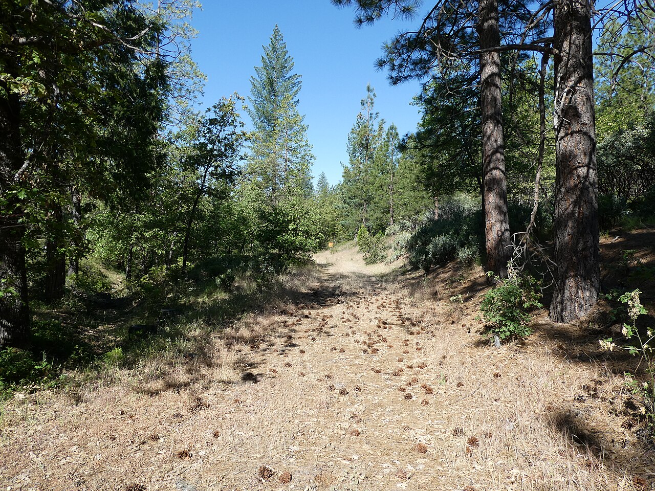 Pines Campground