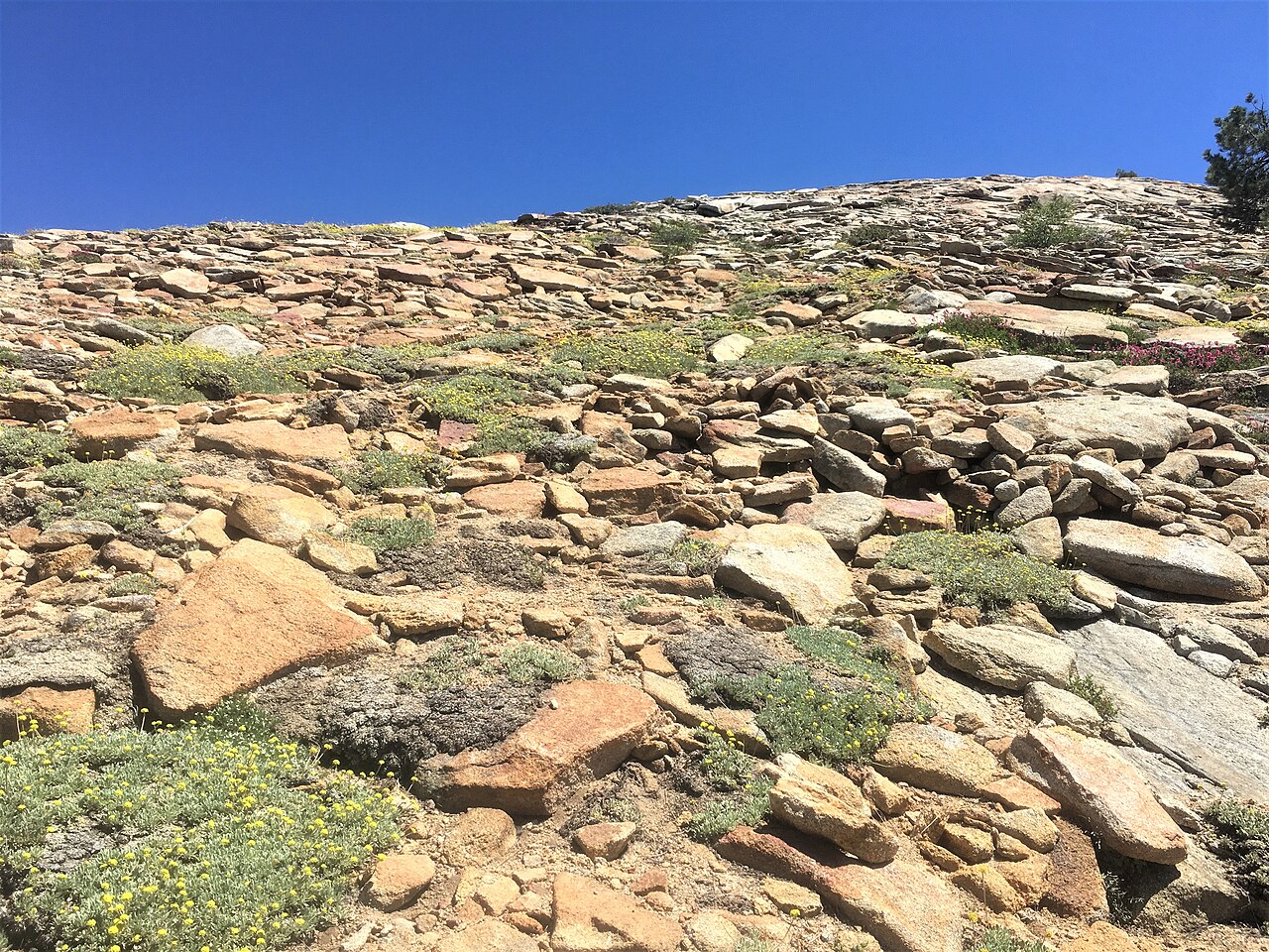 Fresno Dome Campground