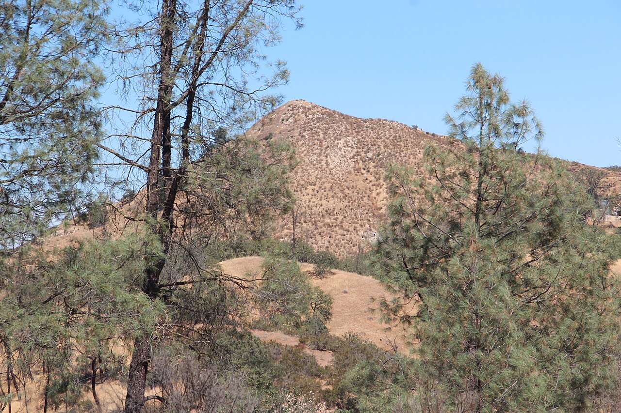 Quails Roost Campground