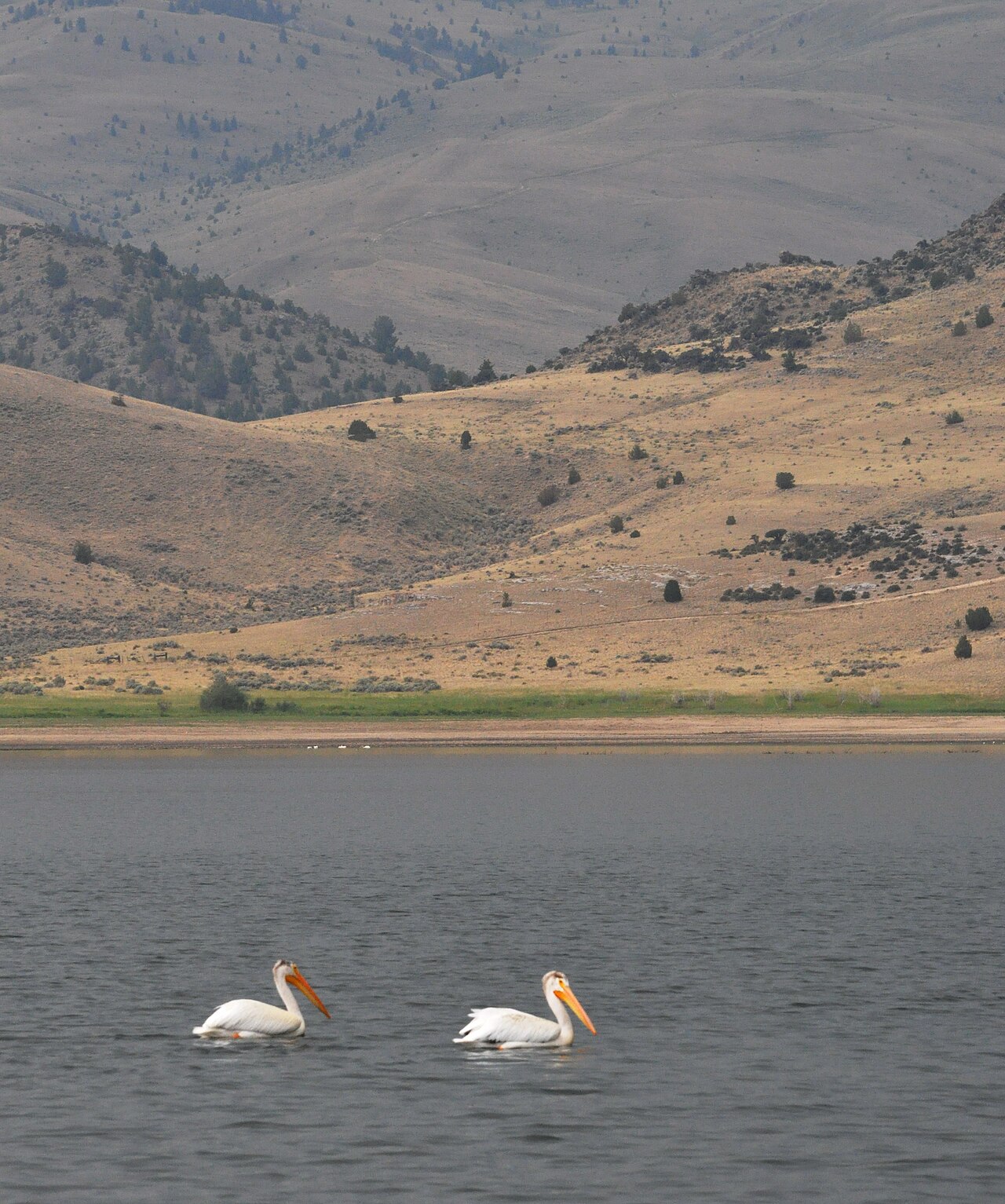 Hap Hawkins Campground
