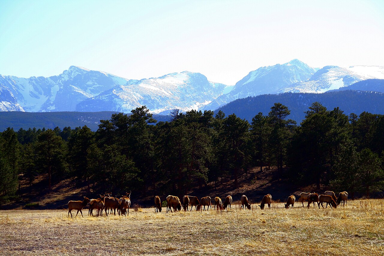 Ute Meadow