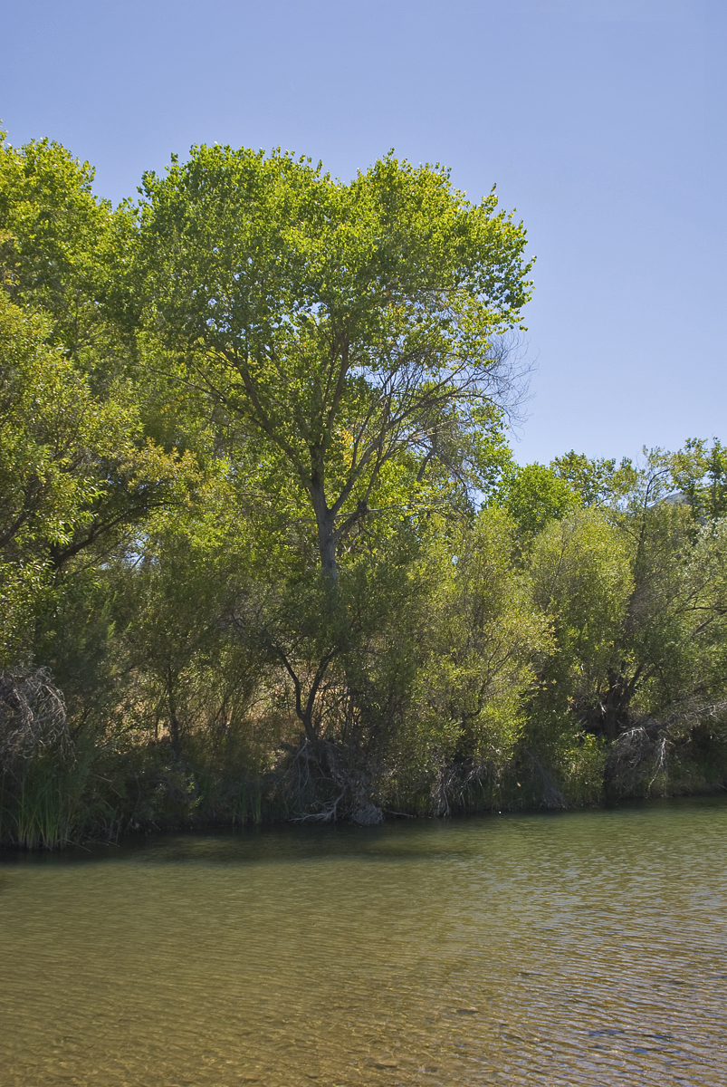 Fremont Campground