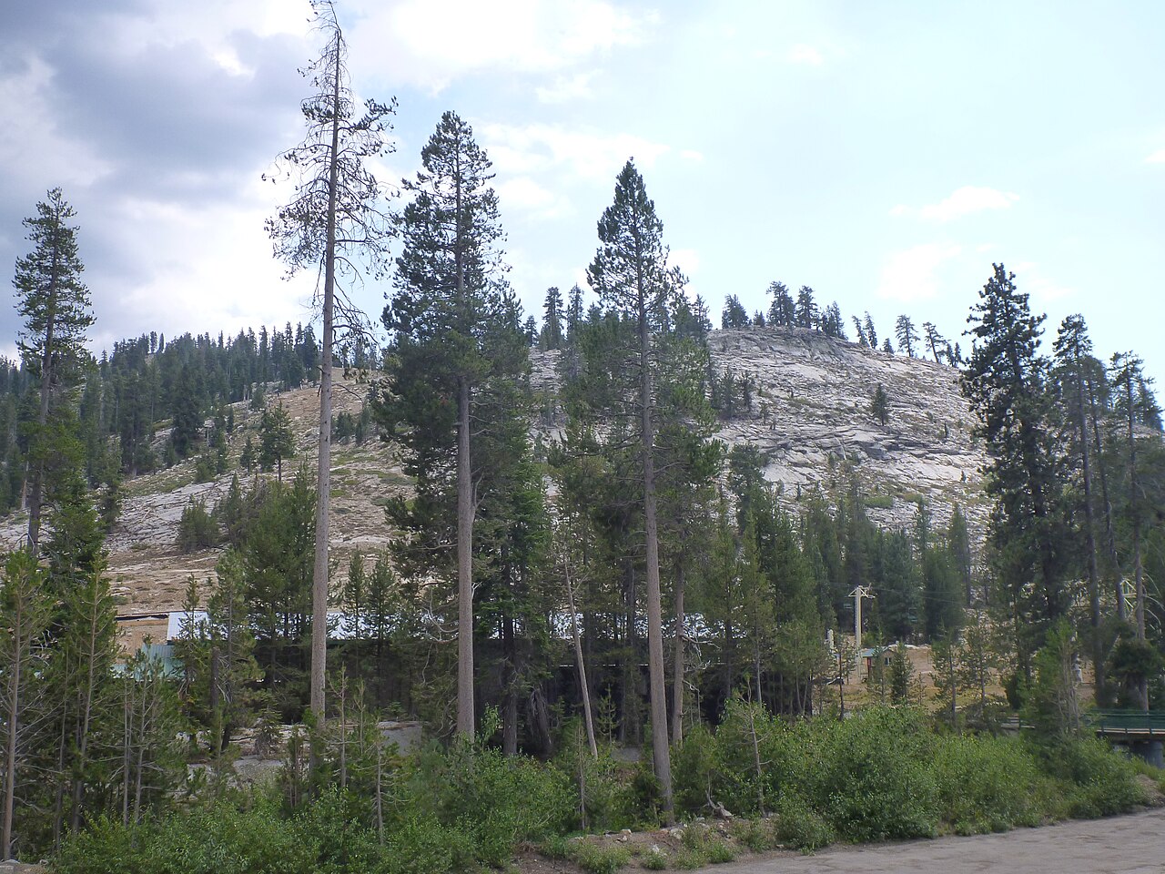 Gold Arrow Camp