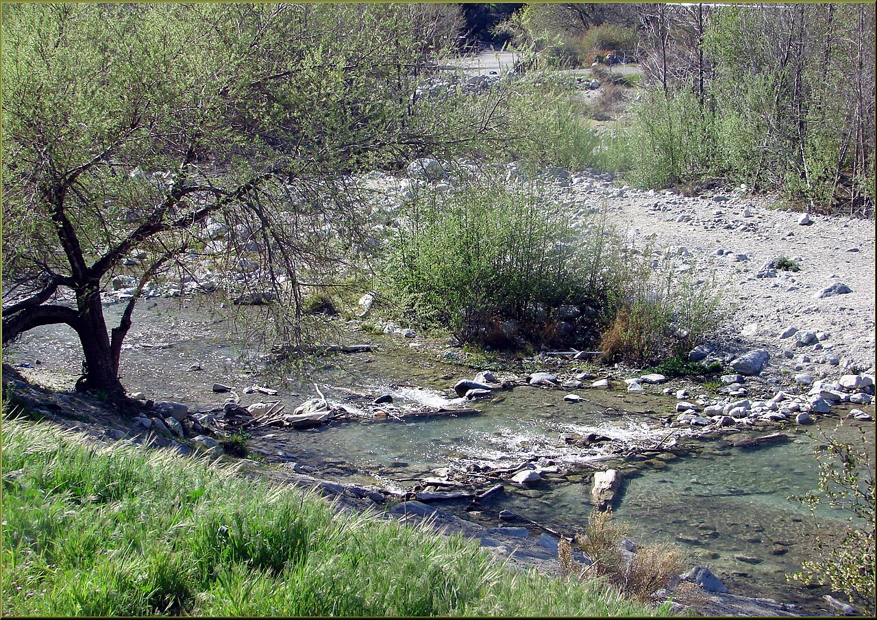 Bonita Ranch Campground