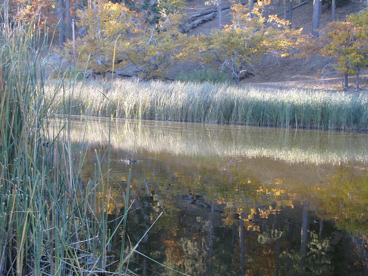 Lake Campground