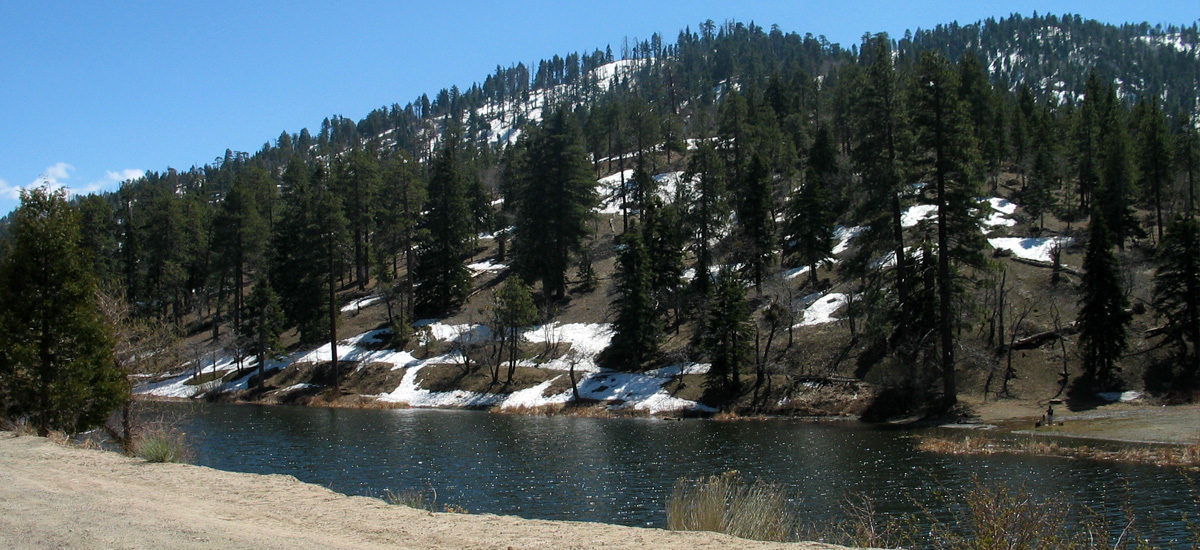 Mt. Oak Campground