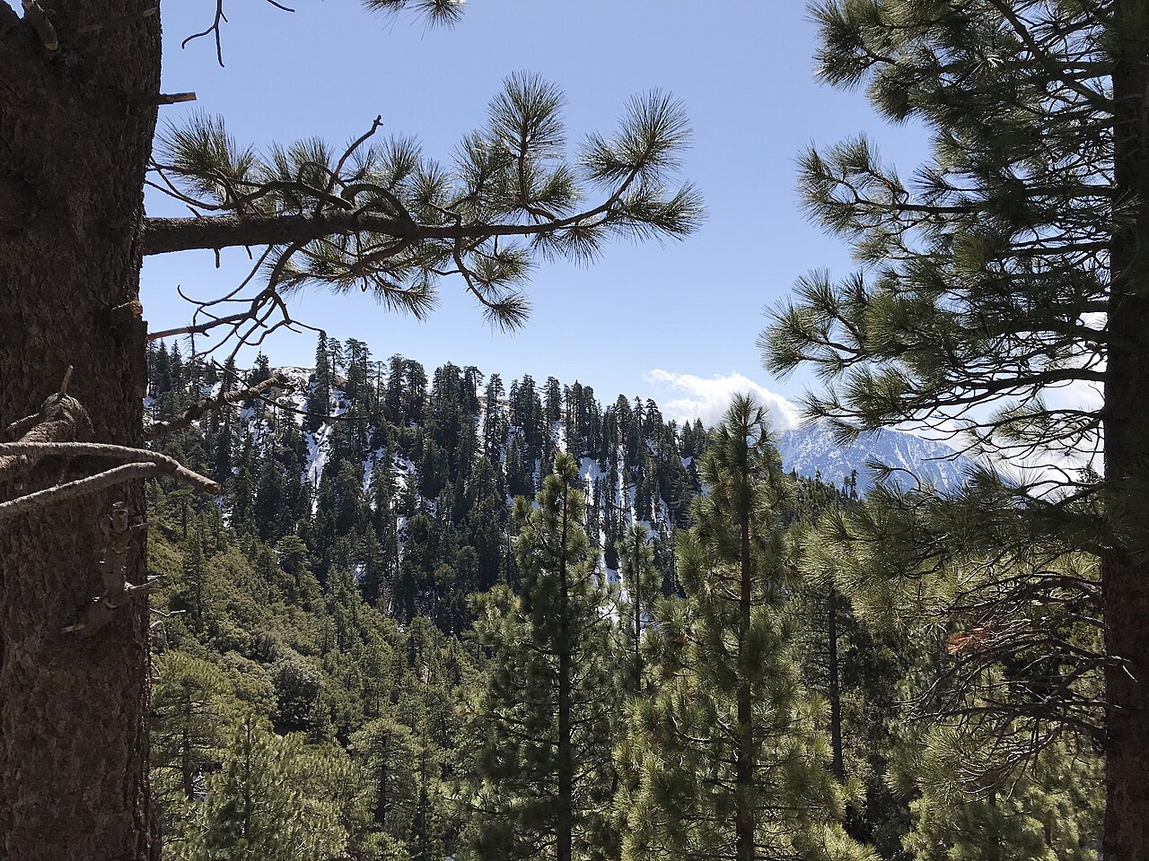 Jackson Flat Campground