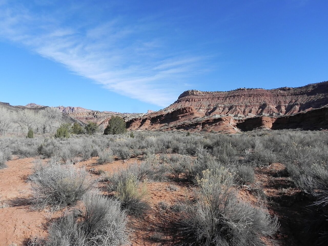 Campsite 6 - Coalpits Wash Camp