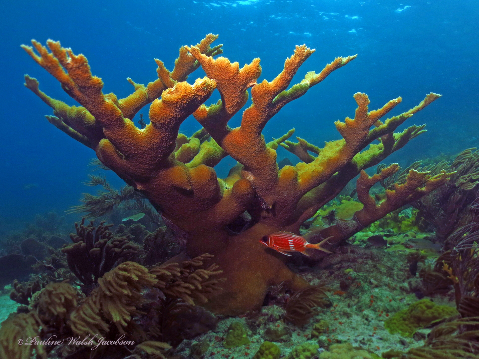 Virgin Islands National Park