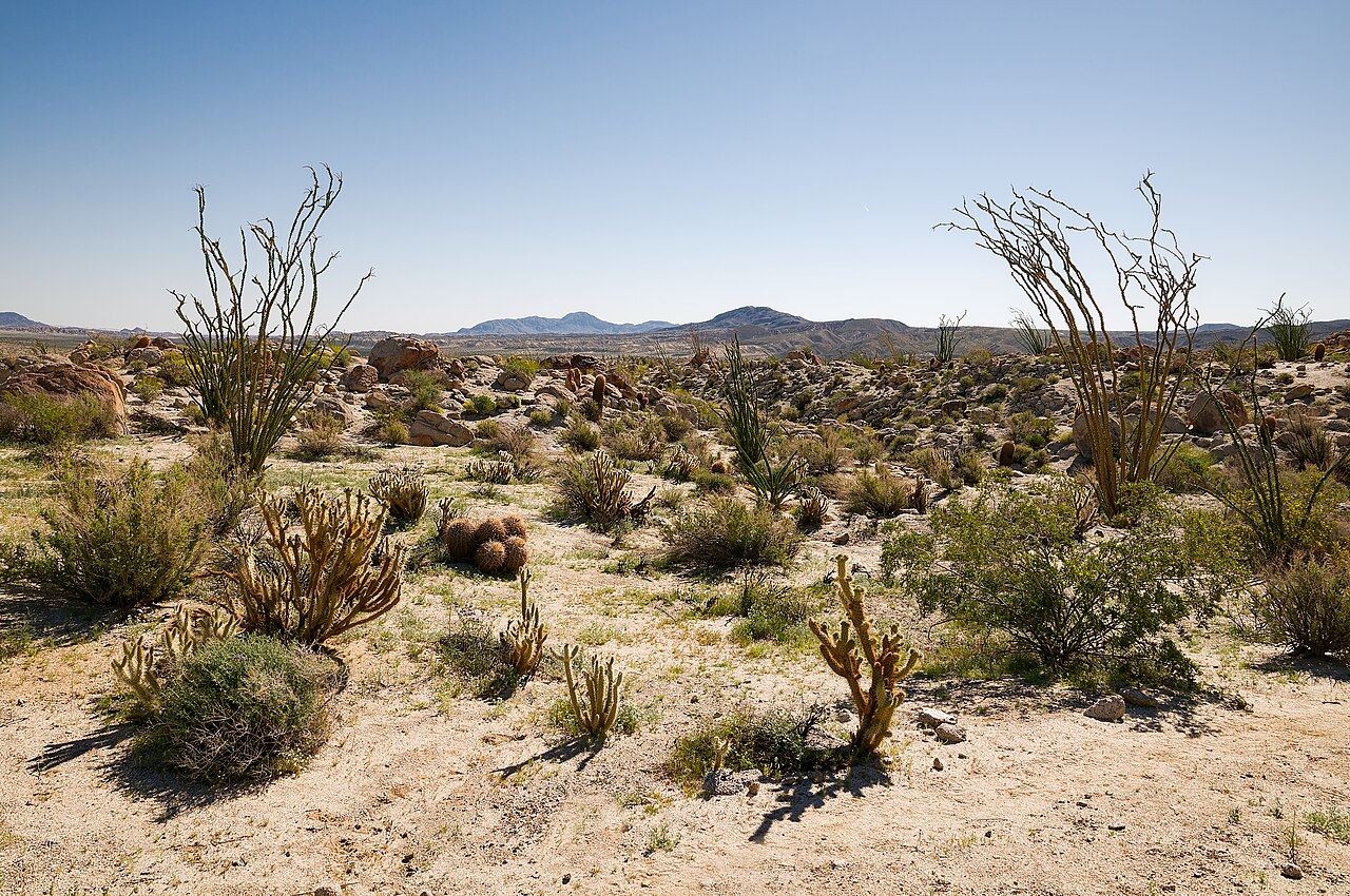 Mountain Palm Springs Loop