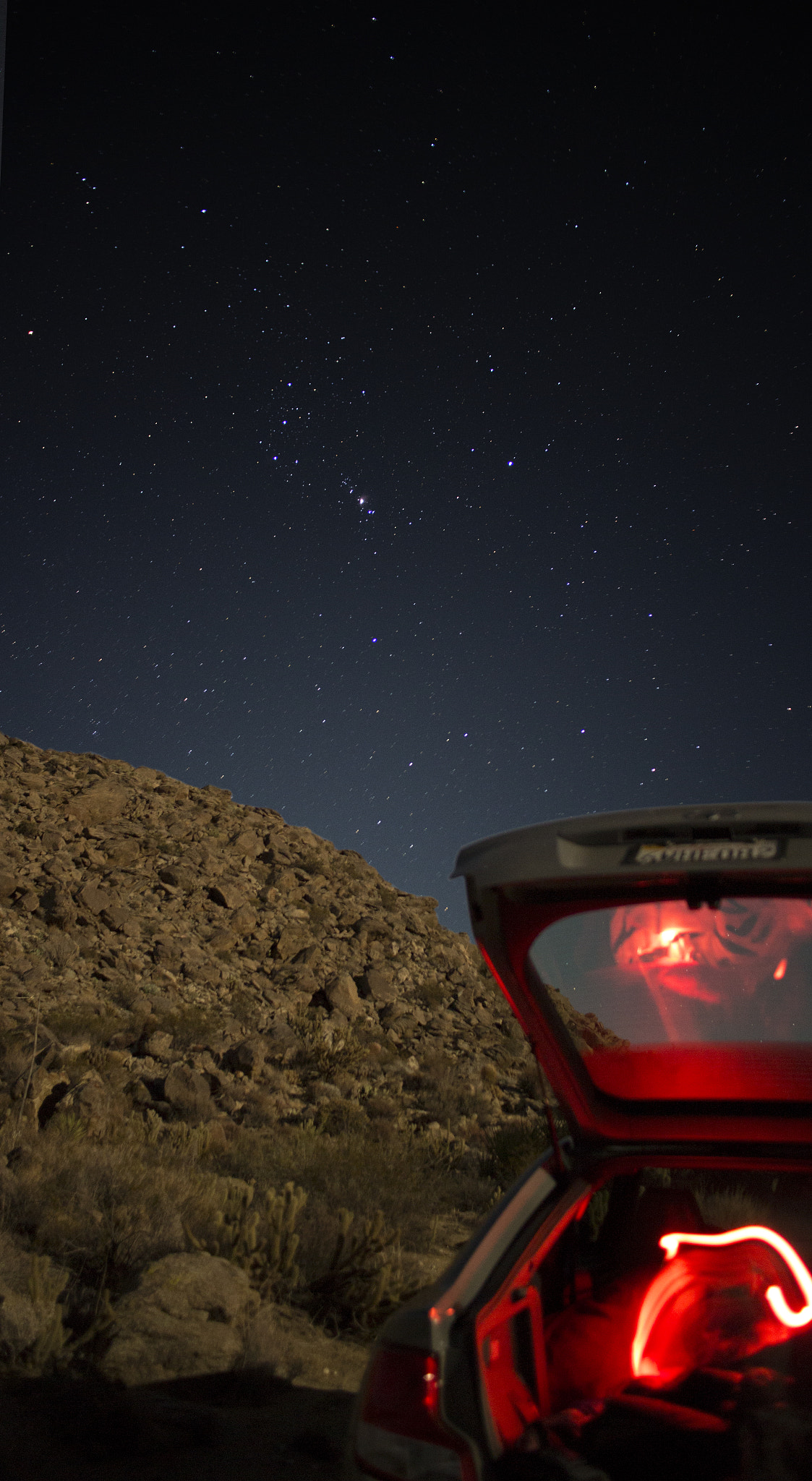 Nolina Wash Road