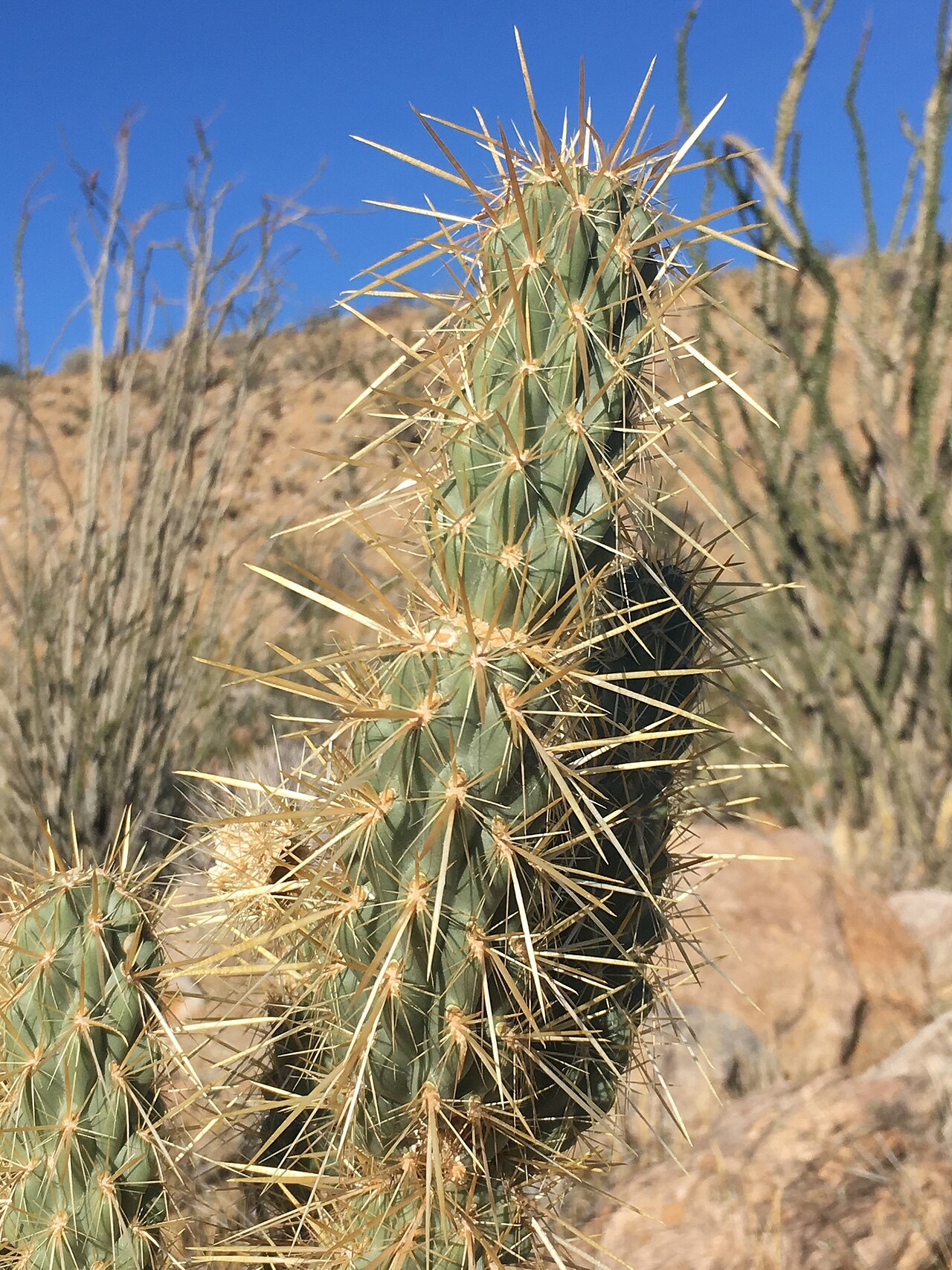 Coyote Canyon Road
