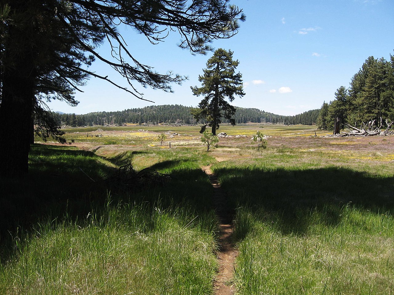 Agua Dulce Trail
