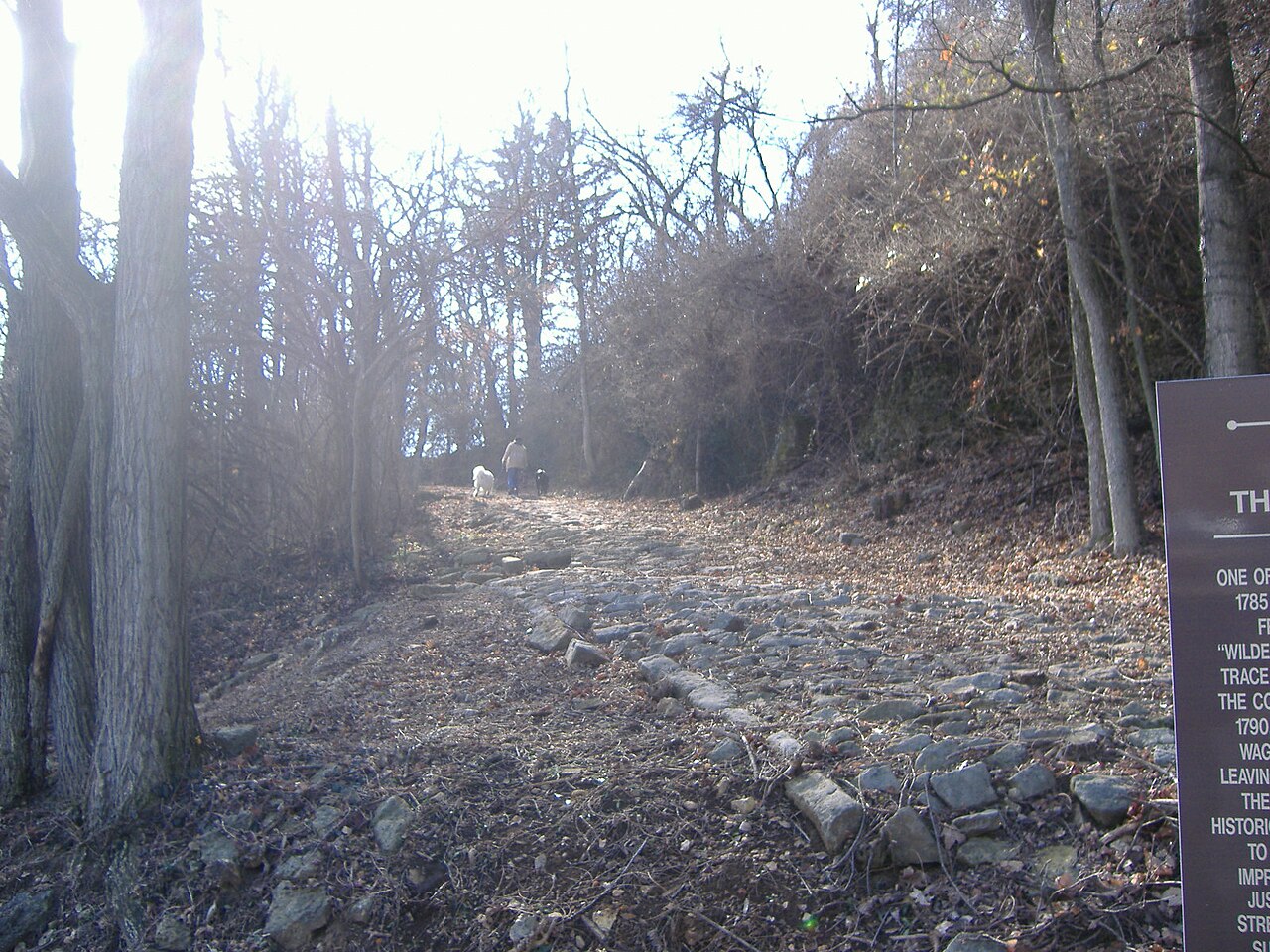 Cobblestone Path
